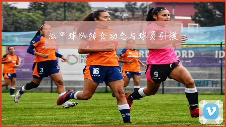 法甲球队转会动态与球员引援