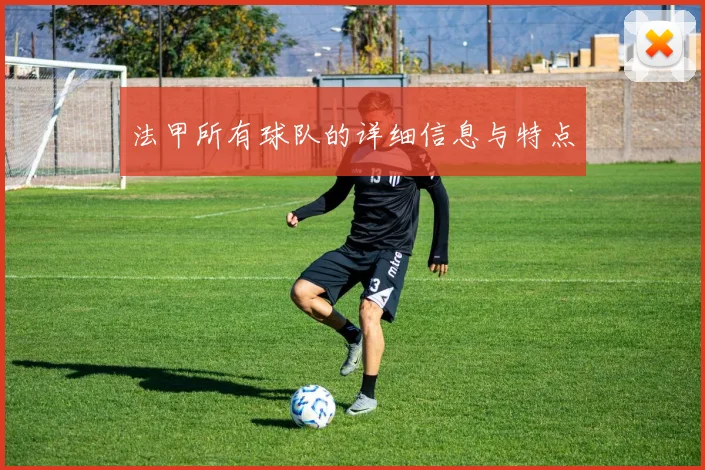 法甲所有球队的详细信息与特点