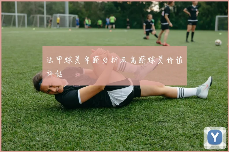 法甲球员年薪分析及高薪球员价值评估
